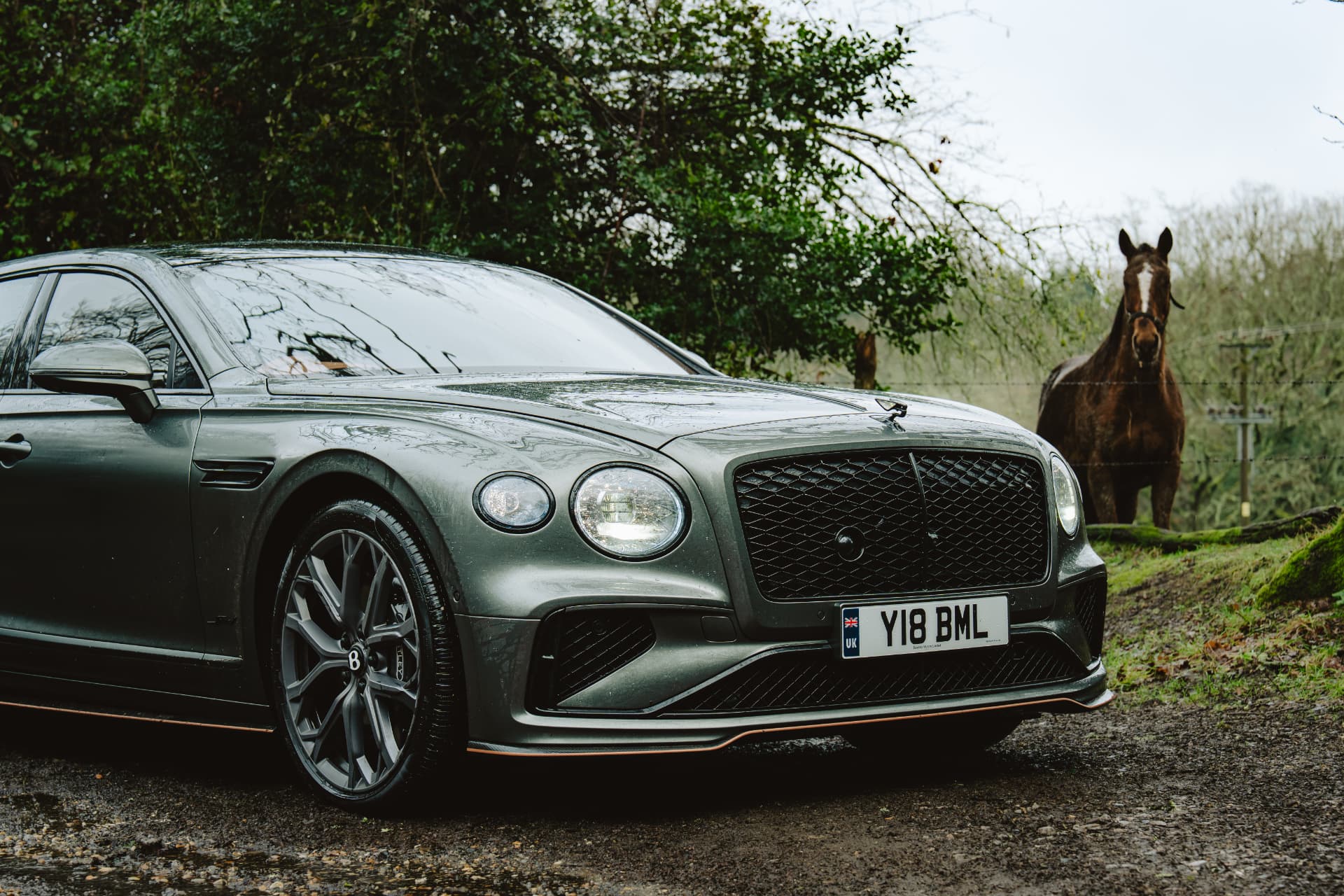 Bentley Flying Spur front detail with horse in background