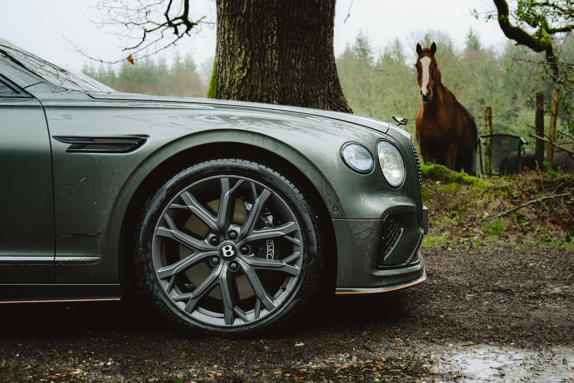 Close-up of Bentley wheel with horse in the background